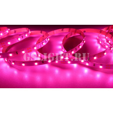 Открытая светодиодная лента SMD 3528 60LED/m IP20 12V Pink